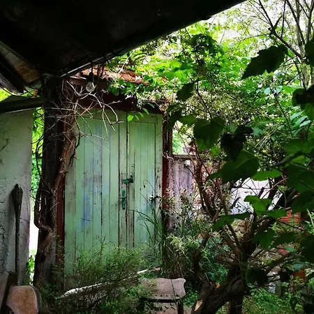 Vikendica Despotovic Villa